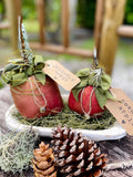 Primitive Country Apples