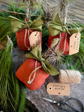 Primitive Country Apples