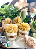 Almond Milk Sea Sponge Soap