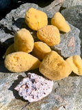 Makeup and Crafting Sponges