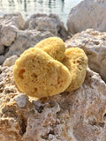Makeup and Crafting Sponges