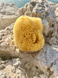 Yellow Florida Sea Sponge Medium