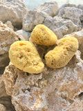 Makeup and Crafting Sponges