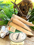 Primitive Orange Carrots