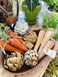 Primitive Orange Carrots