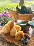 Makeup and Crafting Sponges Medium