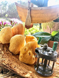 Makeup and Crafting Sponges Medium