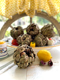 Dried Artichokes