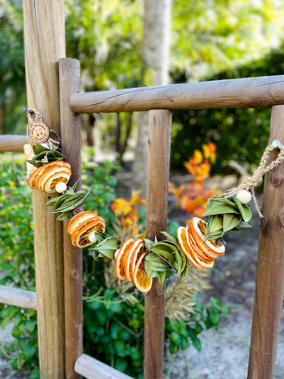 Dried Orange Slice Garland and Lemon Bay Leaves