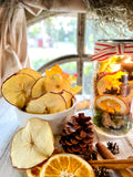 Mason Jar Lantern Autumn Themed with Handmade Dried Fruit, Acorns and Pine Cones