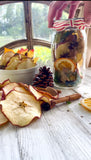 Mason Jar Lantern Autumn Themed with Handmade Dried Fruit, Acorns and Pine Cones