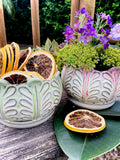 Bromeliad Planter Pots