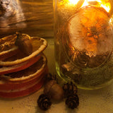 Mason Jar Lantern Autumn Themed with Handmade Dried Fruit, Acorns and Pine Cones