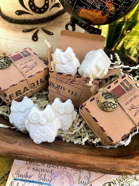 Owl Travel Soaps Shea Butter Set of Two Small Gift Box with Globe Charm